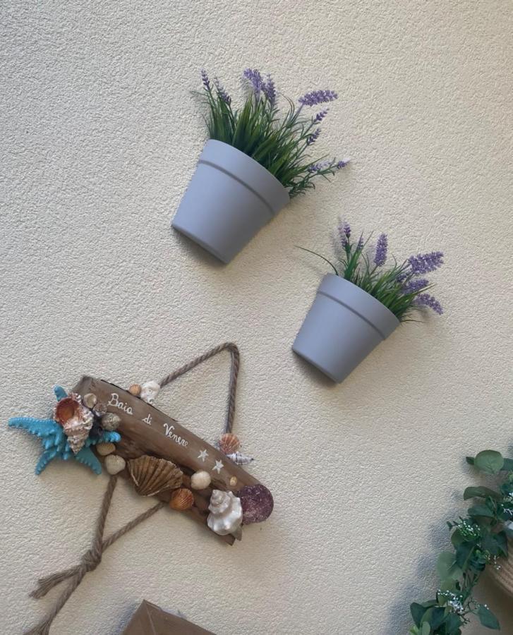 Hotel Baia Di Venere San Vito Lo Capo Eksteriør billede